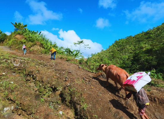 Untitled design (23)